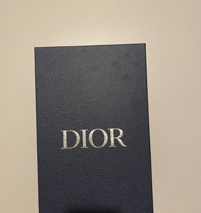 Dior Alpha Sandal