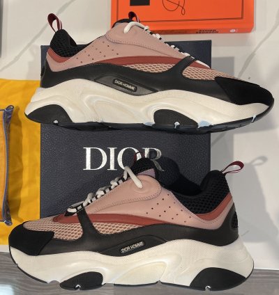 Dior B22