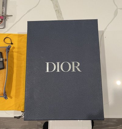 Dior B22