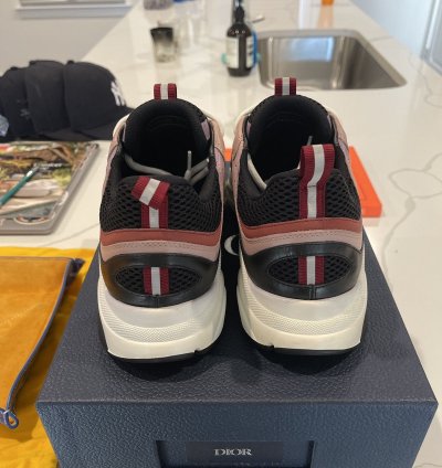 Dior B22