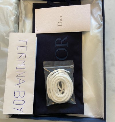 Dior B22 Baby Blue Sneaker Size 12