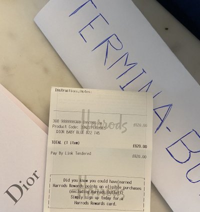 Dior B22 Baby Blue Sneaker Size 12