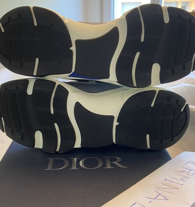 Dior B22 Baby Blue Sneaker Size 12