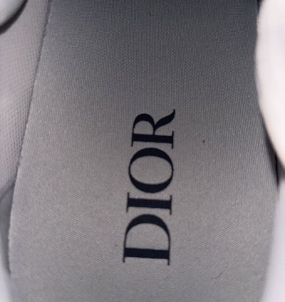 Dior B22 Black And White