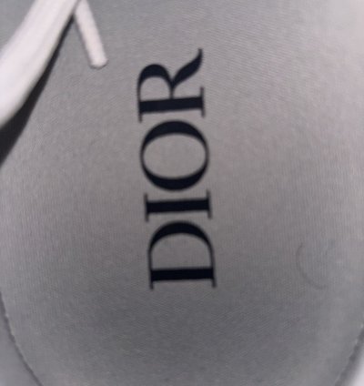 Dior B22 Black And White
