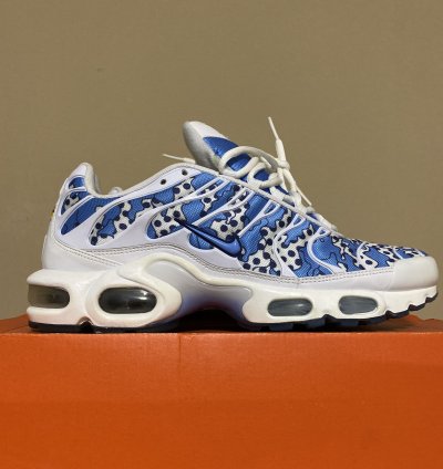 Nike Air Max Plus Tn Paris Fashion Week