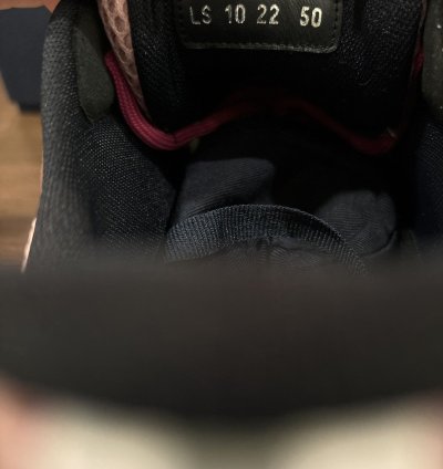 Dior B22 Blush Black