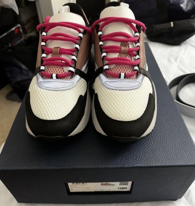 Dior B22 Burlwood