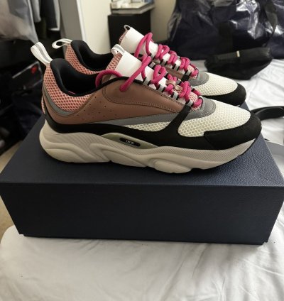 Dior B22 Burlwood