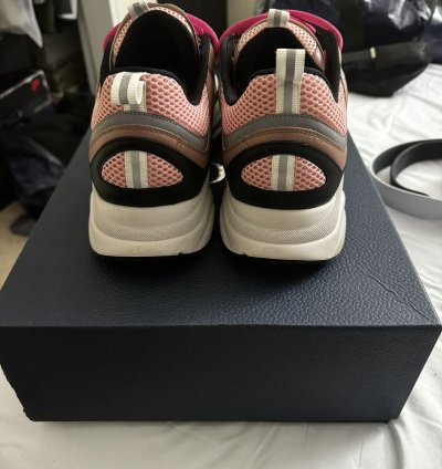 Dior B22 Burlwood