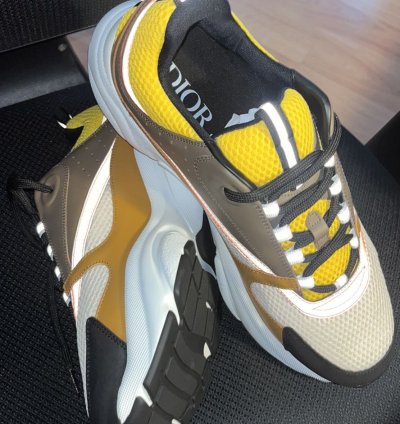 Dior B22 Calf Mesh