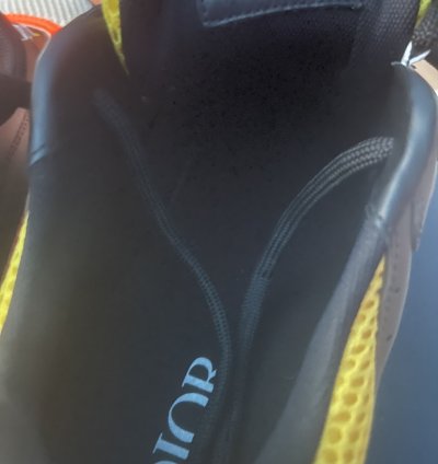 Dior B22 Calf Mesh