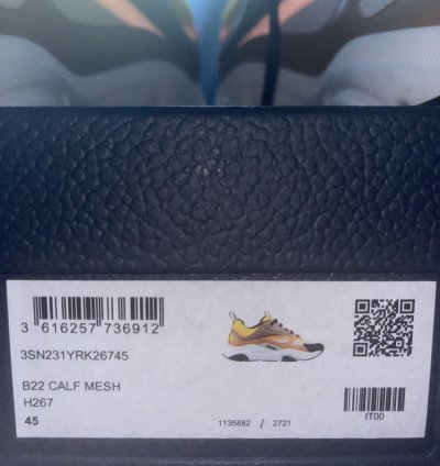 Dior B22 Calf Mesh