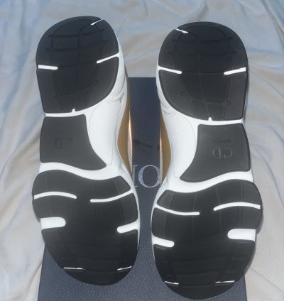Dior B22 Calf Mesh