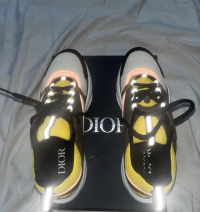 Dior B22 Calf Mesh