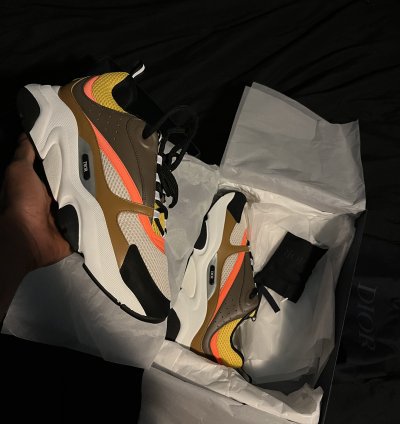 Dior B22 Calf Mesh