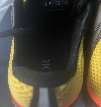 Dior B22 Calf Mesh