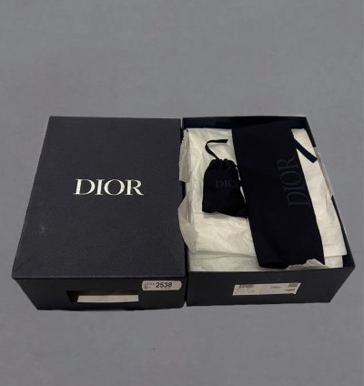 Dior B22 Calf Mesh Sneaker Reflective