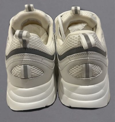 Dior B22 Calf Mesh Sneaker Reflective