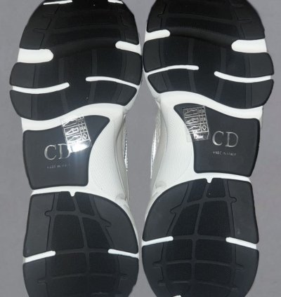 Dior B22 Calf Mesh Sneaker Reflective