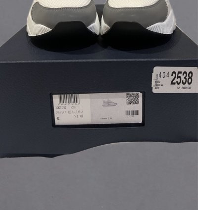 Dior B22 Calf Mesh Sneaker Reflective
