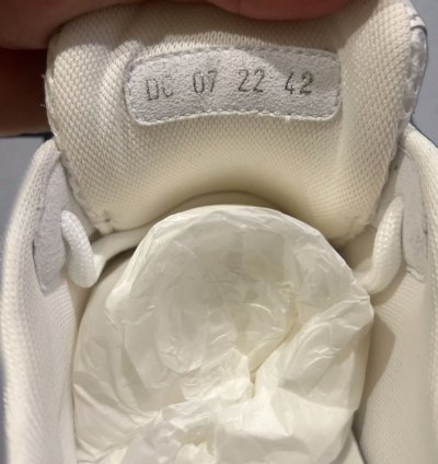Dior B22 Calf Mesh Sneaker Reflective