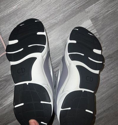 Dior B22 Gray Mesh
