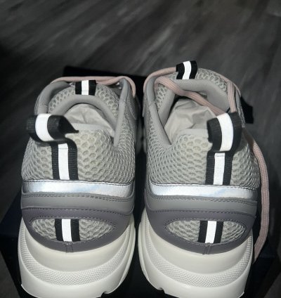 Dior B22 Gray Mesh
