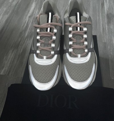 Dior B22 Gray Mesh