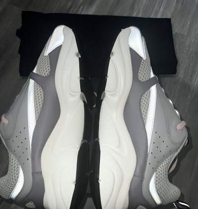 Dior B22 Gray Mesh