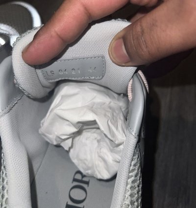 Dior B22 Gray Mesh