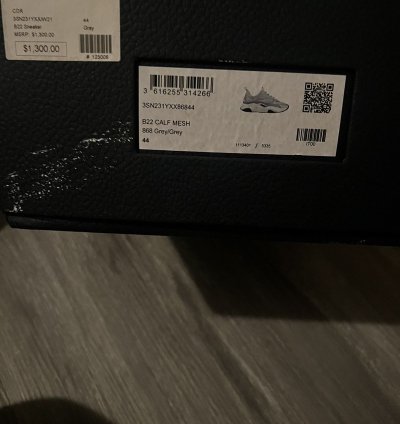 Dior B22 Gray Mesh