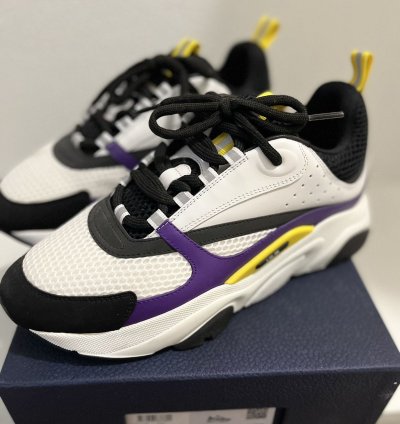 Dior B22 Laker