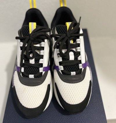 Dior B22 Laker