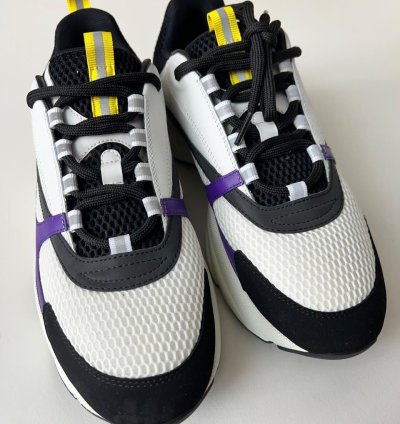 Dior B22 Low Top Sneakers