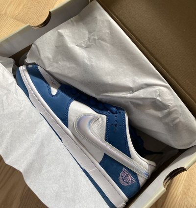 Nike Born Raised Dunk Lo Pro Qs