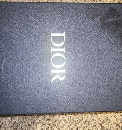 Dior B22 Neon Pink Blue