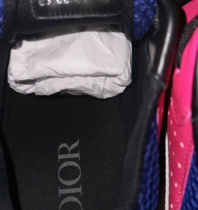Dior B22 Neon Pink Purple