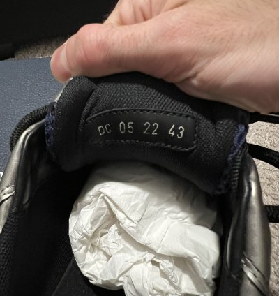 Dior B22 New Ds