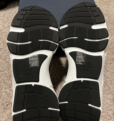 Dior B22 New Ds