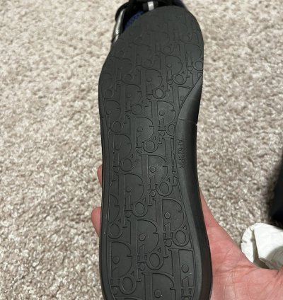 Dior B22 New Ds