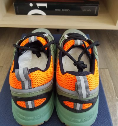 Dior B22 Orange And Green