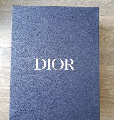 Dior B22 Orange And Green