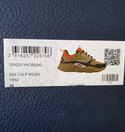 Dior B22 Orange And Green