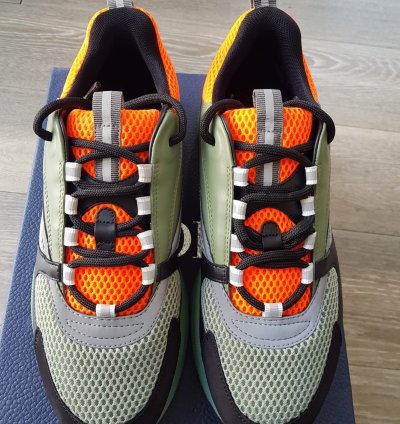Dior B22 Orange And Green