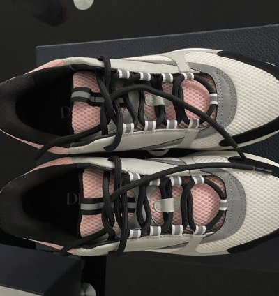 Dior B22 Pale Pink Grey