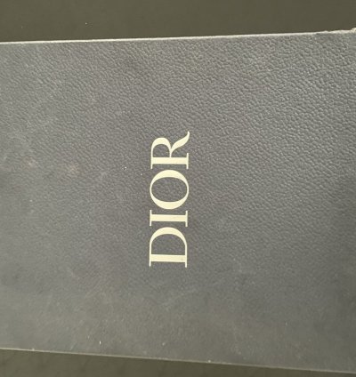 Dior B22 Pale Pink Grey