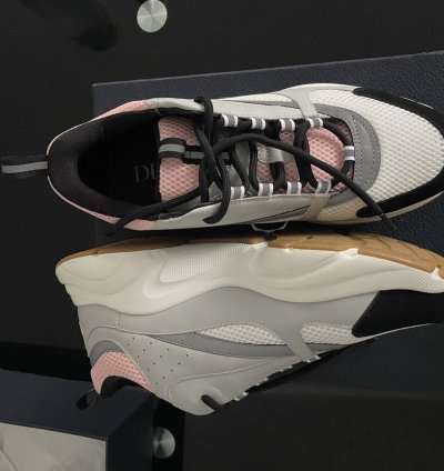 Dior B22 Pale Pink Grey