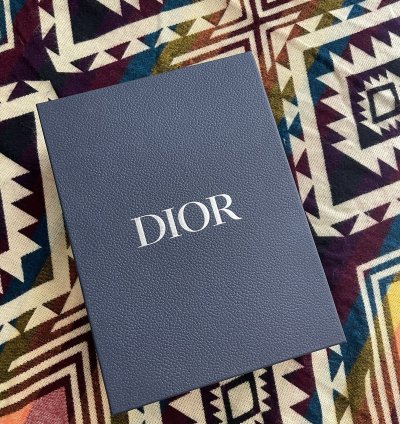 Dior B22 Sneaker