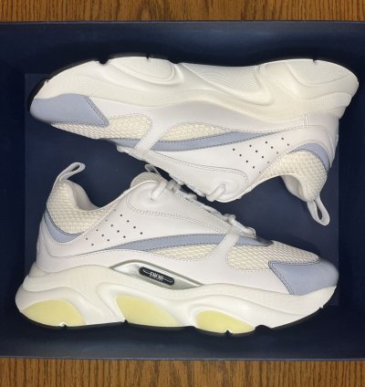 Dior B22 Sneaker white Grey